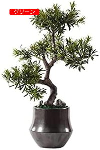 y20%OFFN[|ztlHϗtA T EFJ R ~ I[ig ze L ʘH |[` i A lHϗtA