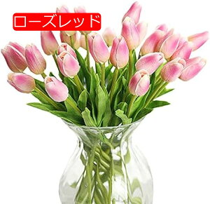 y20%OFFN[|z `[bv ͂Ȃ 10{Zbg A[gt[ ԑ  ϏܐA CeA tFCNt[ lHA  蕨 LO hV̓ v[g  B