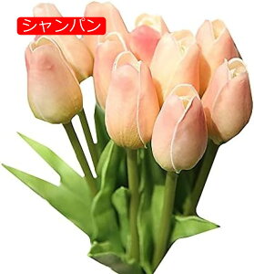 y20%OFFN[|z `[bv ͂Ȃ 10{Zbg A[gt[ ԑ  ϏܐA CeA tFCNt[ lHA  蕨 LO hV̓ v[g  B