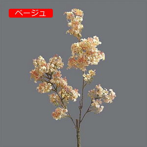 y20%OFFN[|zCbN  CeA k  tFCNt[ A 4{ ԑ sN A[eBtBVt[ X^CbV { 蕨 v[g JXj
