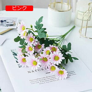 y20%OFFN[|z e e 5Zbg u[P lHϗtA  ԑ VNt[ j p CeA Be 