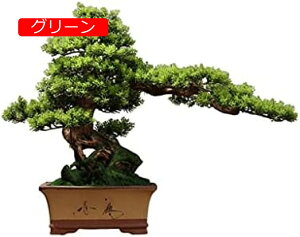 y20%OFFN[|zlHϗtA ~ Aؔ t lHϗtA A rO[ ׋ ItBX