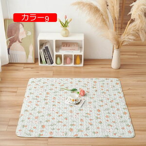 y20%OFFN[|zԂ񃉃O v[g J[ybg _ O J[11 rOp J[ybg ~  ʋC k _ `FA}bg  Hp h Y ItBXp 50*70cm