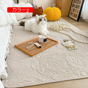 y20%OFFN[|zO   􂦂 LgO J[3 ` k 70*70cm n ~ߕt g[Ή J[ybg O}bg I[V[Y RۖhL rO q C 