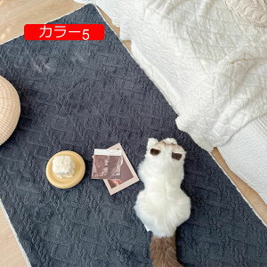 y20%OFFN[|zLeBO }bg Ԃ O Rbg 􂦂  Lg  O}bg ~ J[ybg ې J[4 oYj j ې O }bg Z^[O V