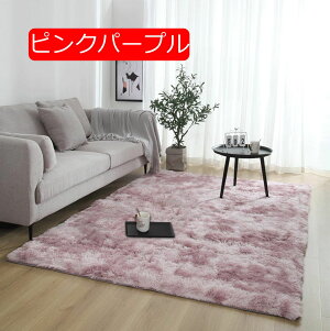 y20%OFFN[|zO J[ybg VM[O 60*90 􂦂 փ}bg O}bg ~ߕt R[q[F rO}bg EHbVu tďH~ ` zbgJ[ybgΉ Vv