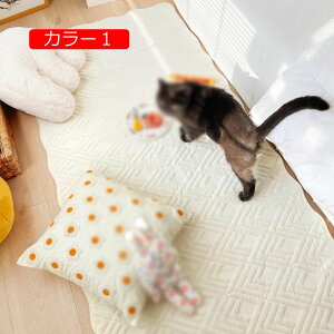 y20%OFFN[|zO ~ߕt ~ rO/xbhTCh O}bg k yV CeA J[ybg 􂦂 h_j g[Ή 90*160cm g 炩 1Ng p R