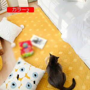 y20%OFFN[|zO ~ߕt ~ rO/xbhTCh O}bg k yV CeA J[ybg 􂦂 h_j g[Ή 90*160cm g 炩 1Ng p R