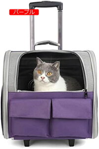 y20%OFFN[|`zybgL[obO ybgL[bN  L ybgobO bN ܂肽ݎ[\ ˂ ʋC ԍ s U ʉ@ h o 8kgω AEghA 