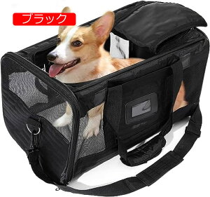 y20%OFFN[|`zpgxL[obOALƏ^̃obNpbNA ^L?^pybgL[obOA3ʃbVAʋCƑϋvAyʂŎ^тȒP/s/ЊQ