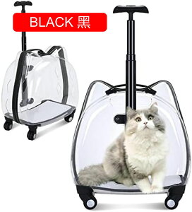 y20%OFFN[|`zybgL[obO LX^[t  ^ L p J[g Lknh op  gт₷  ʉ@ U s dԈړ hЗp ʋC L