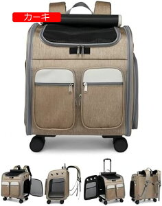 y20%OFFN[|`zybgP[W LX^[tLpbN LX^[t L Lp L[ J[g  ^ ybg bNL[obO ܂肽 NAEghAU s (O