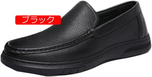 y20%OFFN[|zhCrOV[Y Y {v JV [t@[ Ȃ ʋC ɂȂ JWA fbLV[Y JVV[Y  \tgJV ʋC vC amC 