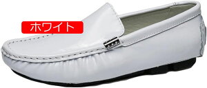 y20%OFFN[|zhCrOV[Y JV Xb| [t@[ Gi Y 傫TCY EH[LOV[Y JWA ʋ _炩 ʋC  ʋ R[f y  