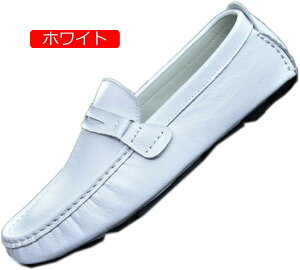 y20%OFFN[|z[t@[ amC Y Xb| hCrOV[Y vC ~  ₷ K y Vv ʋC rWlX JWA EH[LOV[Y 