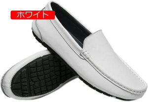 y20%OFFN[|zhCrOV[Y Y [t@[ Xb| JV V[Y JWA fbLV[Y TCY Ep amC h y \tgJV ʋC  A