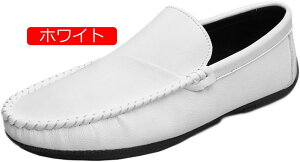 y20%OFFN[|z[t@[ hCrOV[Y JV Y y v vC f Xb| XbvI  ʋ ʊw jp rWlX JWA  Ȃ _炩 