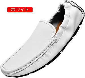 y20%OFFN[|zhCrOV[Y Y Xb| JV [t@[ vC amC y h fbLV[Y JWA ʋ ʋC ₷ E炭 fo _炩 