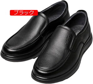 y20%OFFN[|z[t@[ Y vC amC Xb| hCrOV[Y JWAV[Y EH[LOV[Y rWlX ʋ _炩 RtH[g ʋC C T[t f 