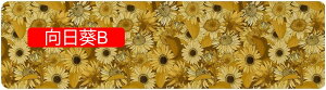 y20%OFFN[|zKi}bg  ԕ Ki 15 ~ߊKi}bg z}bg q//ybgS΍ ]|h~ KiNbV Kiׂ~߃}bg g[Ή YȂ 