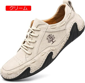 y20%OFFN[|zY V[Y [t@[ [XAbv JWA hCrO RtH[g [t@[ XG[h EH[LO IbNXtH[h rWlX [N ItBX ^]C 