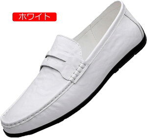 y20%OFFN[|zRC[t@[ Xb| JV y^R X[X hCrOV[Y Y tH[} n ₷ EH[LOV[Y JWA  XbvI