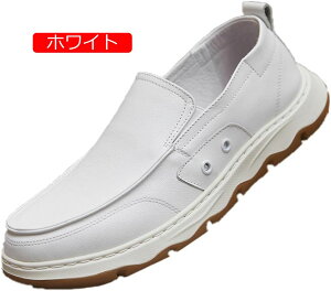 y20%OFFN[|zhCrOV[Y Y jp  v EH[LOV[Y JV JWAV[Y vC [t@[ fbLV[Y JV YV[Y X[X