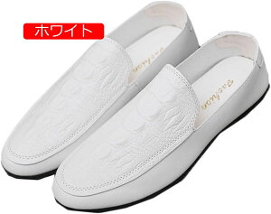 y20%OFFN[|z[t@[ q[ w Y  C Xb| Xb|V[Y JWAV[Y vC ZC Z JV rWlX JWA ʋ ʊw ʊwC  C