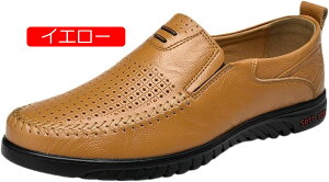y20%OFFN[|zXb| hCrOV[Y Y JWA vC [t@[ ubN  uE F JVC amC fbLV[Y Xj[J[ l y ʋC Ռz