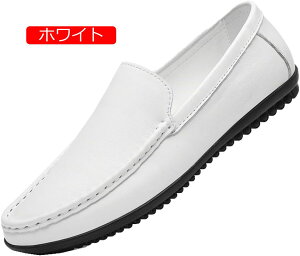 y20%OFFN[|zhCrOV[Y Xb| Y [t@[ Xj[J[ V[Y JWA C  ubN ^] ₷   ʋ R[f y y  _炩