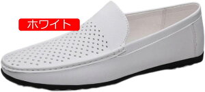 y20%OFFN[|z[t@[ Y v V[Y JV hCrOV[Y vC JWA t@bV  EH[LO V[Y ʋ _炩 ʋC _ y T[t j 