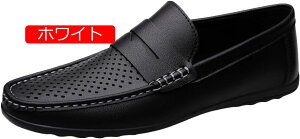 y20%OFFN[|zY hCrOV[Y [t@[ X b| JV bV ʋC y  ₷ rWlX JWA IV ~ 傫TCY am  NV