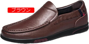 y20%OFFN[|zXb| Y [t@[ JWAV[Y  yʃEH[LOV[Y RȂrWlXV[Y amC rWlX Ep ʋ U ₷ gh 