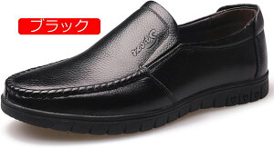 y20%OFFN[|zYXb| [t@[ hCrOV[Y Vv n y JWA  ItBX K _炩 h Ȃ x[VbN ʊw ʋ  