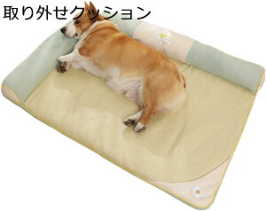 y20%OFFN[|`zybgxbh  ` 􂦂  ^ xbh Lxbh  NbV ӂӂ }bg ̃X|W ݂ɂ ybg\t@[  тȂ 