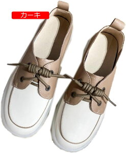 y20%OFFN[|`ztbgV[Y ؂ pvX  pvX y^R [q[ }} 傫TCY fB[XC XNGAgD  l  Xb| s  