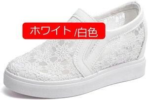 y20%OFFN[|z[t@[  Xj[J[ bV [X pvX Cq[ Xj[J[ fB[X JWAV[Y C Xb| X|[cV[Y jO EH[L
