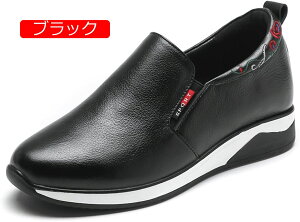 y20%OFFN[|`zXj[J[ JWAV[Y fB[X C Xb| wlC i[XV[Y RtH[g ؂ vbgV[Y d Ȃ L b ̌C ʊw 