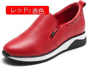 y20%OFFN[|`zXj[J[ JWAV[Y fB[X C Xb| wlC i[XV[Y RtH[g ؂ vbgV[Y d Ȃ L b ̌C ʊw 