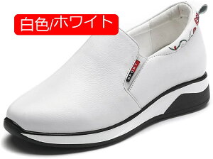 y20%OFFN[|`zXj[J[ JWAV[Y fB[X C Xb| wlC i[XV[Y RtH[g ؂ vbgV[Y d Ȃ L b ̌C ʊw 