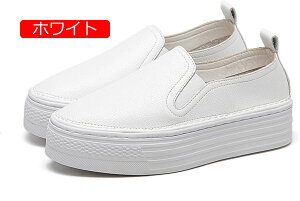 y20%OFFN[|`zfB[X  Xb| {v ؊v U[ Xj[J[ JWA 4cm ؂ tbgV[Y  zCg [Jbg vbgtH[ ₷ ~ 