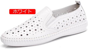 y20%OFFN[|`zXj[J[ Xb| {v  tbgV[Y y    fB[X JWAV[Y 傫TCY ₷ tbg V[Y r ₷ vC 