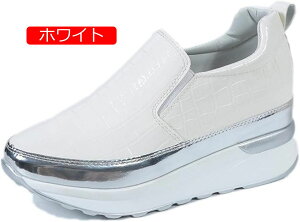 y20%OFFN[|`zXb| NR fB[X Xj[J[ r 傫TCY    ₷ vbgtH[ [Jbg RȂ y ~ q[Abv gAbv 