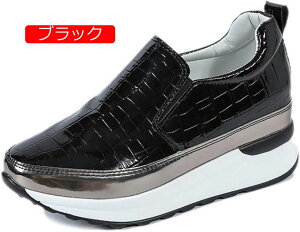 y20%OFFN[|`zXb| NR fB[X Xj[J[ r 傫TCY    ₷ vbgtH[ [Jbg RȂ y ~ q[Abv gAbv 