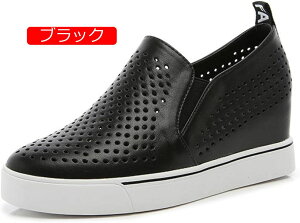 y20%OFFN[|`z傫TCY Xb| Cq[    fB[X Xj[J[ 傫TCY bV R  Cq[Xj[J[ 7cm 7Z` ₷ E₷ ɂ