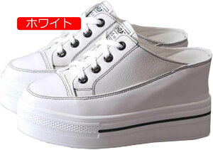 y20%OFFN[|`zXb| fB[X  ƂȂ 傫TCY Xj[J[  r Cq[ T_ Xj[J[ ₷ C JWA PU U[ V[Y ^ X|[c 