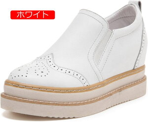 y20%OFFN[|`zXb| Xj[J[  V[Y [Jbg  Cq[  ʋC t ubN zCg ᔽ n  傫TCY i[XV[Y JW