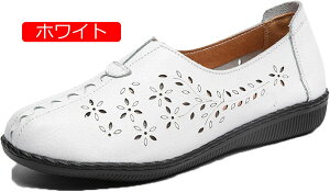 y20%OFFN[|`zpvX {vU[ p ԕ fB[X ؂ r  o Sn  wlC Ȃ }}V[Y RtH[g hV̓ EH[LO