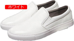 y20%OFFN[|z[t@[ vC Y JV Xb| ؂ {v U[  hCrOV[Y l  JWAV[Y n NbV Vv j s U 