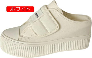 y20%OFFN[|`zXb| Xj[J[  g5cmUP [Jbg ₷ fB[X y gUP L b ʋ ʊw  i ɂ _炩 s ʔNKp n Lp